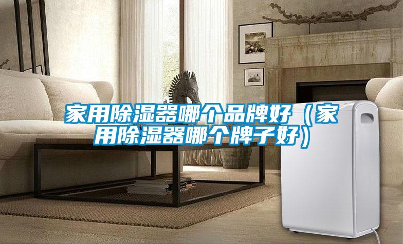 家用除濕器哪個(gè)品牌好（家用除濕器哪個(gè)牌子好）