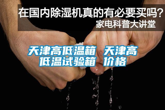 天津高低溫箱 天津高低溫試驗(yàn)箱 價(jià)格