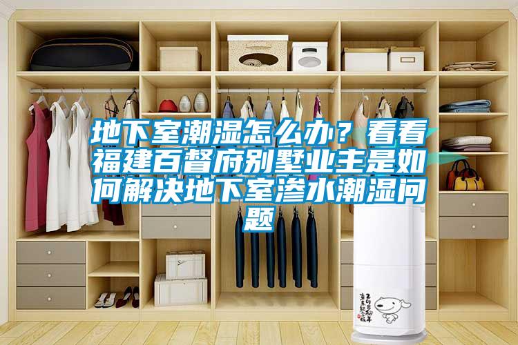 地下室潮濕怎么辦？看看福建百督府別墅業主是如何解決地下室滲水潮濕問題
