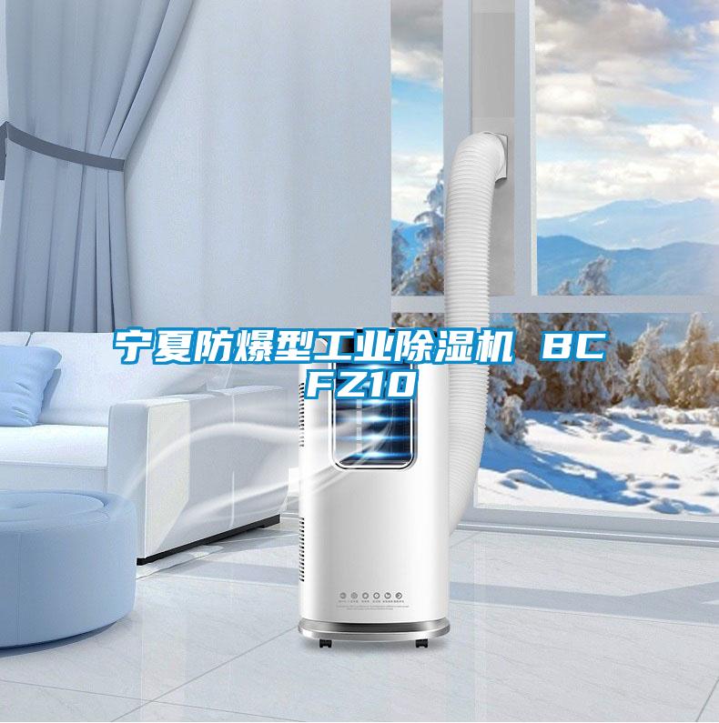 寧夏防爆型工業除濕機 BCFZ10