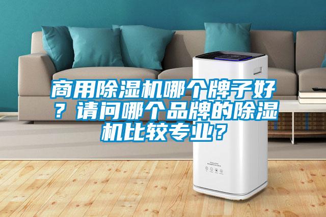 商用除濕機(jī)哪個(gè)牌子好？請問哪個(gè)品牌的除濕機(jī)比較專業(yè)？