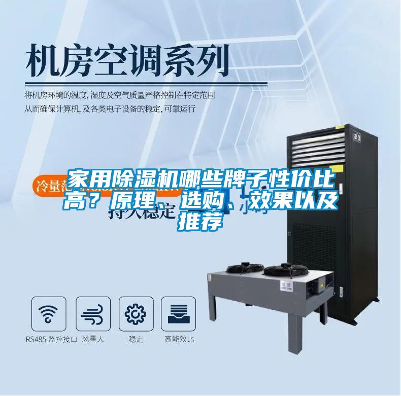 家用除濕機(jī)哪些牌子性價(jià)比高？原理、選購(gòu)、效果以及推薦