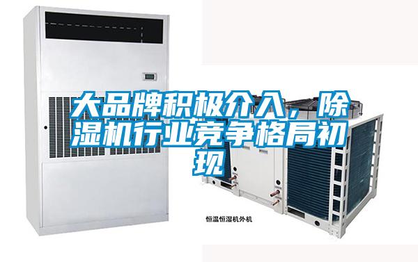 大品牌積極介入，除濕機(jī)行業(yè)競爭格局初現(xiàn)