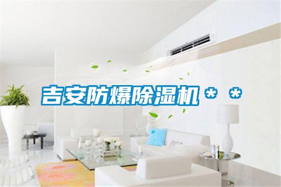 吉安防爆除濕機＊＊