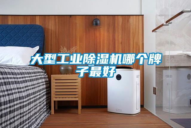 大型工業(yè)除濕機哪個牌子最好