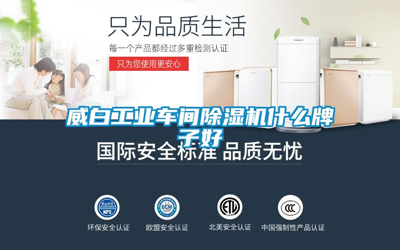 威白工業車間除濕機什么牌子好
