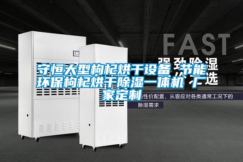 守恒大型枸杞烘干設備 節能環保枸杞烘干除濕一體機 廠家定制