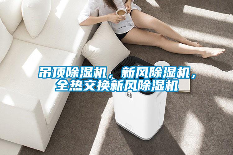 吊頂除濕機，新風除濕機，全熱交換新風除濕機