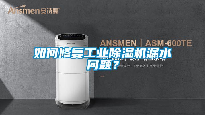 如何修復(fù)工業(yè)除濕機漏水問題？