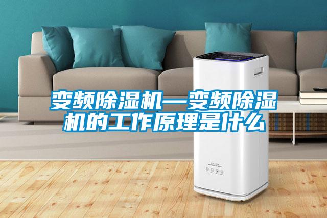 變頻除濕機(jī)—變頻除濕機(jī)的工作原理是什么
