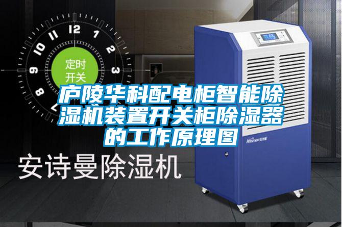 廬陵華科配電柜智能除濕機(jī)裝置開關(guān)柜除濕器的工作原理圖
