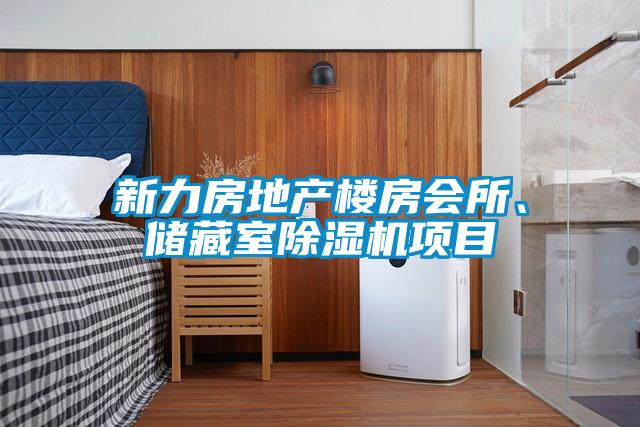 新力房地產樓房會所、儲藏室除濕機項目