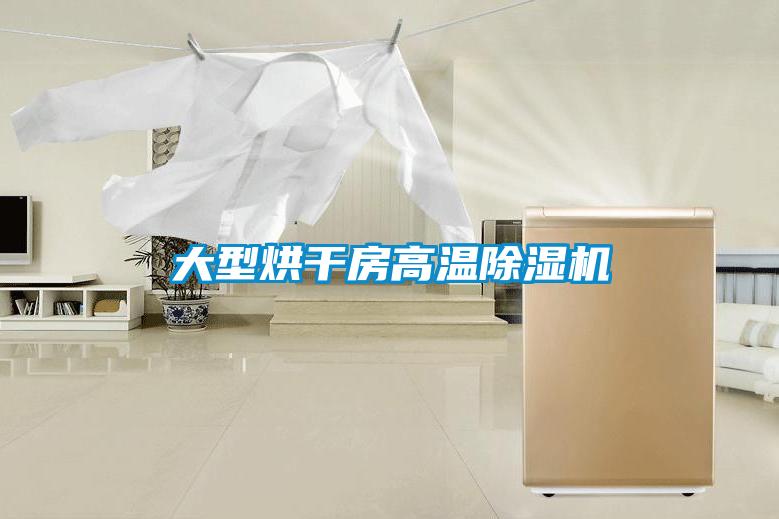 大型烘干房高溫除濕機