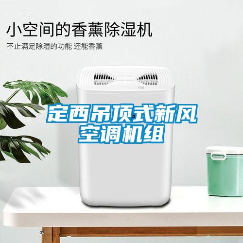 定西吊頂式新風空調(diào)機組