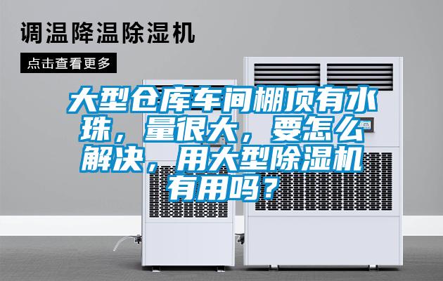 大型倉庫車間棚頂有水珠，量很大，要怎么解決，用大型除濕機有用嗎？