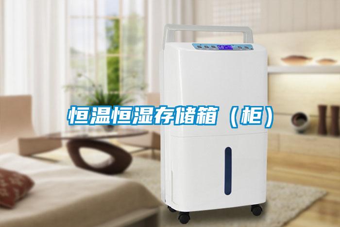 恒溫恒濕存儲(chǔ)箱（柜）