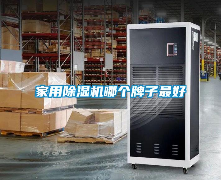 家用除濕機哪個牌子最好