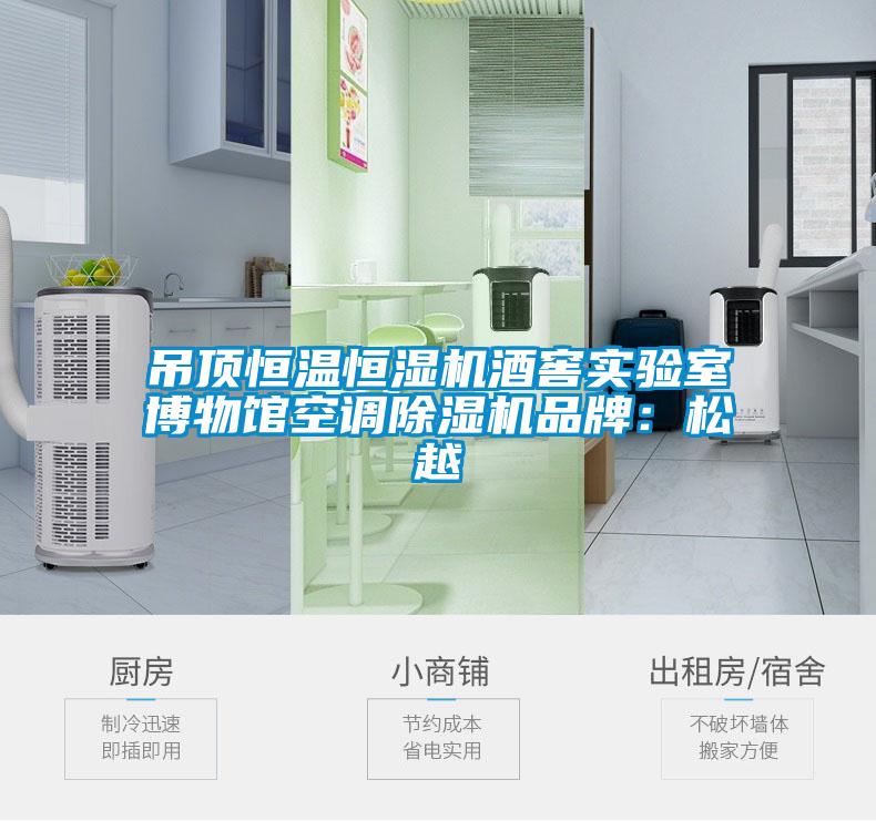 吊頂恒溫恒濕機酒窖實驗室博物館空調除濕機品牌：松越