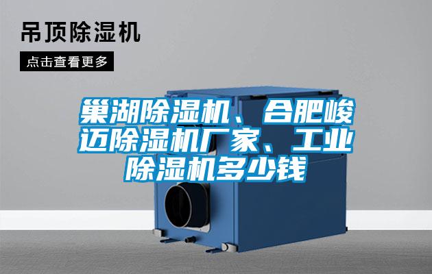 巢湖除濕機、合肥峻邁除濕機廠家、工業除濕機多少錢