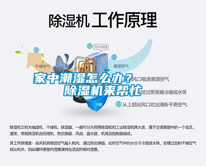 家中潮濕怎么辦？    除濕機(jī)來(lái)幫忙