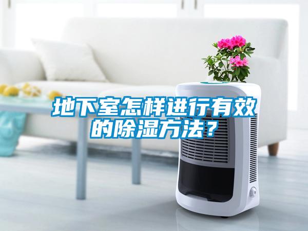 地下室怎樣進行有效的除濕方法？
