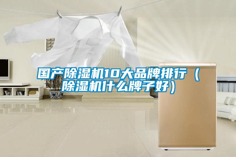 國(guó)產(chǎn)除濕機(jī)10大品牌排行（除濕機(jī)什么牌子好）