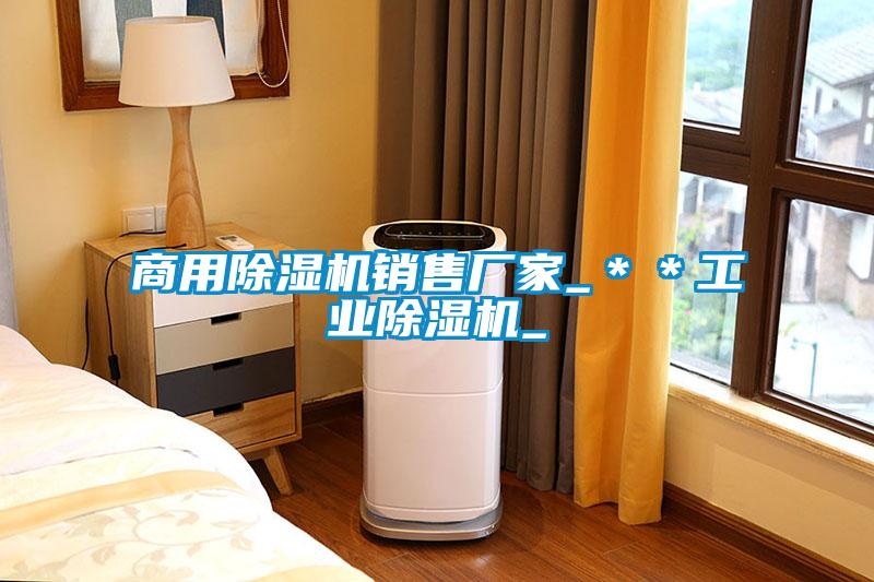 商用除濕機(jī)銷售廠家_＊＊工業(yè)除濕機(jī)_
