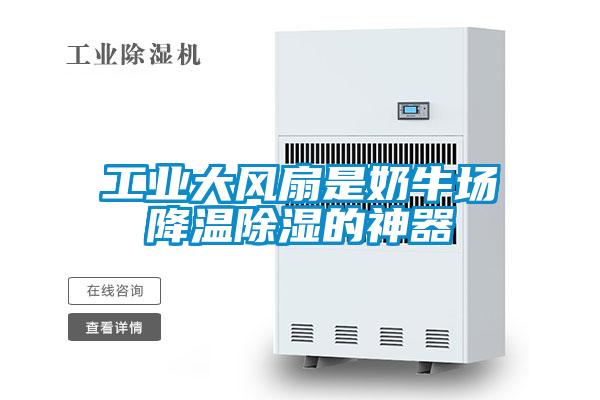 工業(yè)大風(fēng)扇是奶牛場降溫除濕的神器