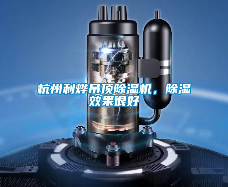杭州利燁吊頂除濕機(jī)，除濕效果很好