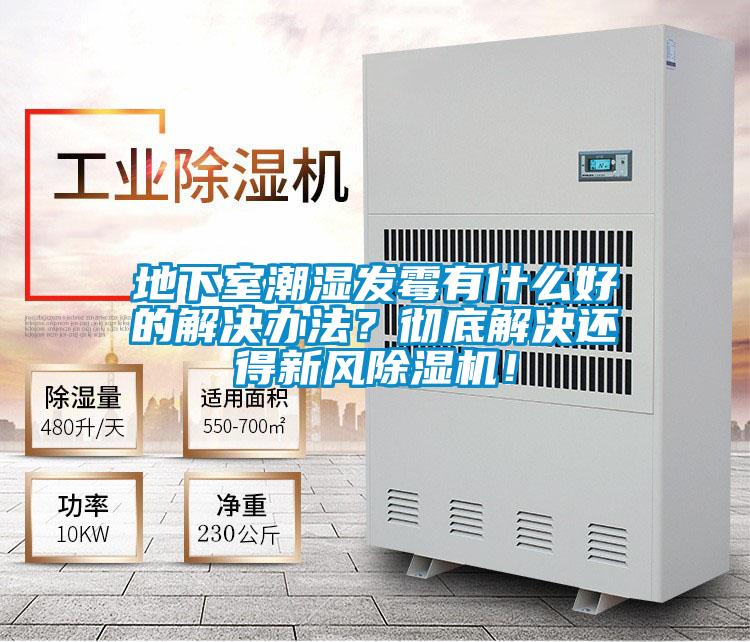 地下室潮濕發(fā)霉有什么好的解決辦法？徹底解決還得新風(fēng)除濕機(jī)！