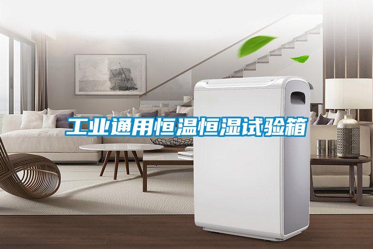 工業通用恒溫恒濕試驗箱