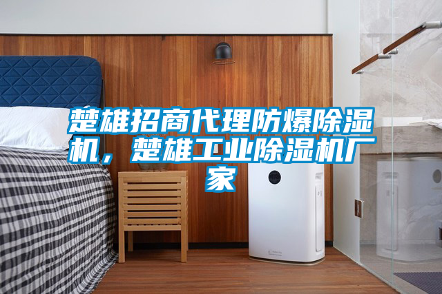 楚雄招商代理防爆除濕機，楚雄工業(yè)除濕機廠家