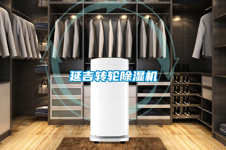 延吉轉(zhuǎn)輪除濕機