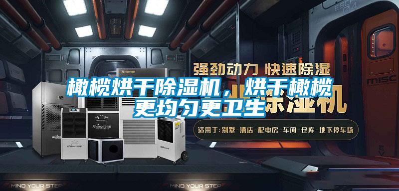 橄欖烘干除濕機(jī)，烘干橄欖更均勻更衛(wèi)生