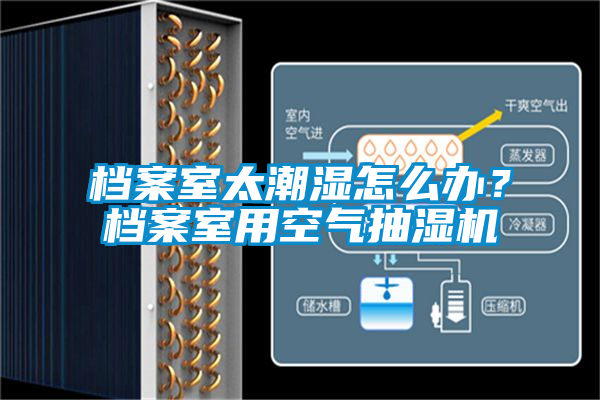檔案室太潮濕怎么辦？檔案室用空氣抽濕機
