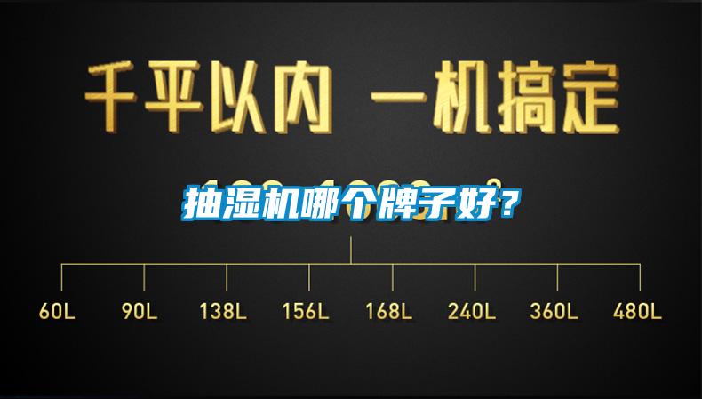 抽濕機哪個牌子好？