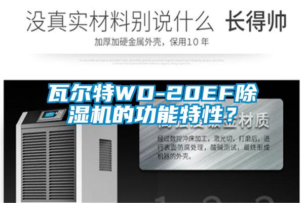 瓦爾特WD-20EF除濕機的功能特性？
