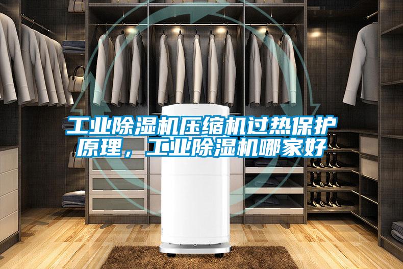 工業(yè)除濕機(jī)壓縮機(jī)過熱保護(hù)原理，工業(yè)除濕機(jī)哪家好