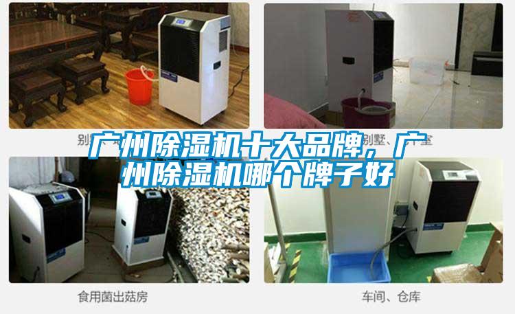 廣州除濕機十大品牌，廣州除濕機哪個牌子好