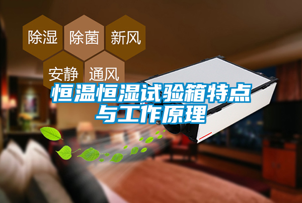 恒溫恒濕試驗箱特點(diǎn)與工作原理