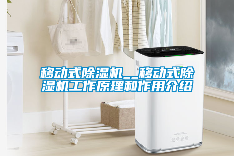 移動(dòng)式除濕機(jī)__移動(dòng)式除濕機(jī)工作原理和作用介紹