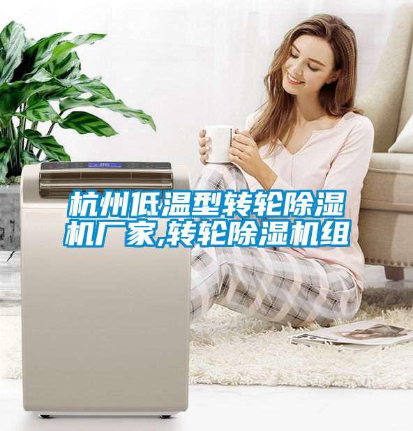 杭州低溫型轉(zhuǎn)輪除濕機(jī)廠家,轉(zhuǎn)輪除濕機(jī)組