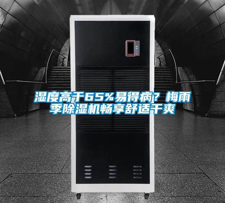 濕度高于65%易得病？梅雨季除濕機暢享舒適干爽