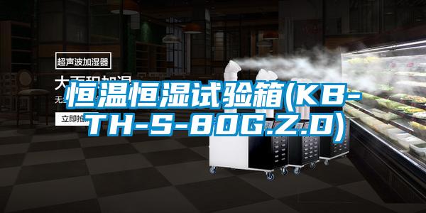 恒溫恒濕試驗(yàn)箱(KB-TH-S-80G.Z.D)