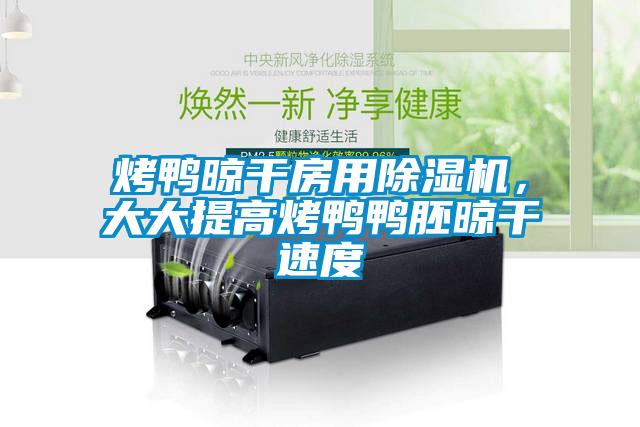 烤鴨晾干房用除濕機(jī)，大大提高烤鴨鴨胚晾干速度
