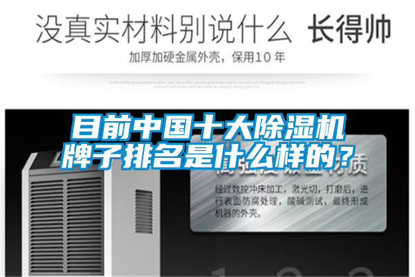目前中國十大除濕機(jī)牌子排名是什么樣的？