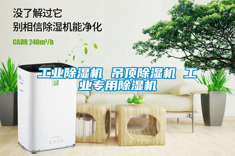 工業除濕機 吊頂除濕機 工業專用除濕機