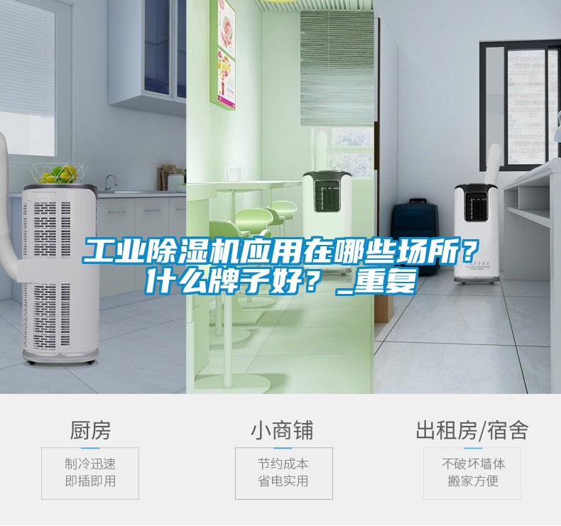 工業除濕機應用在哪些場所？什么牌子好？_重復