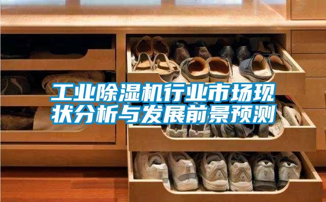 工業除濕機行業市場現狀分析與發展前景預測