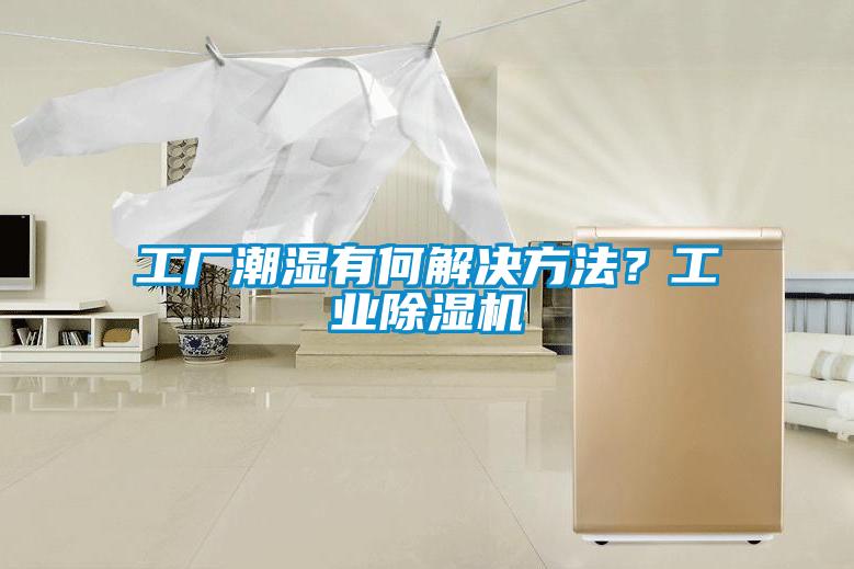 工廠潮濕有何解決方法？工業(yè)除濕機(jī)